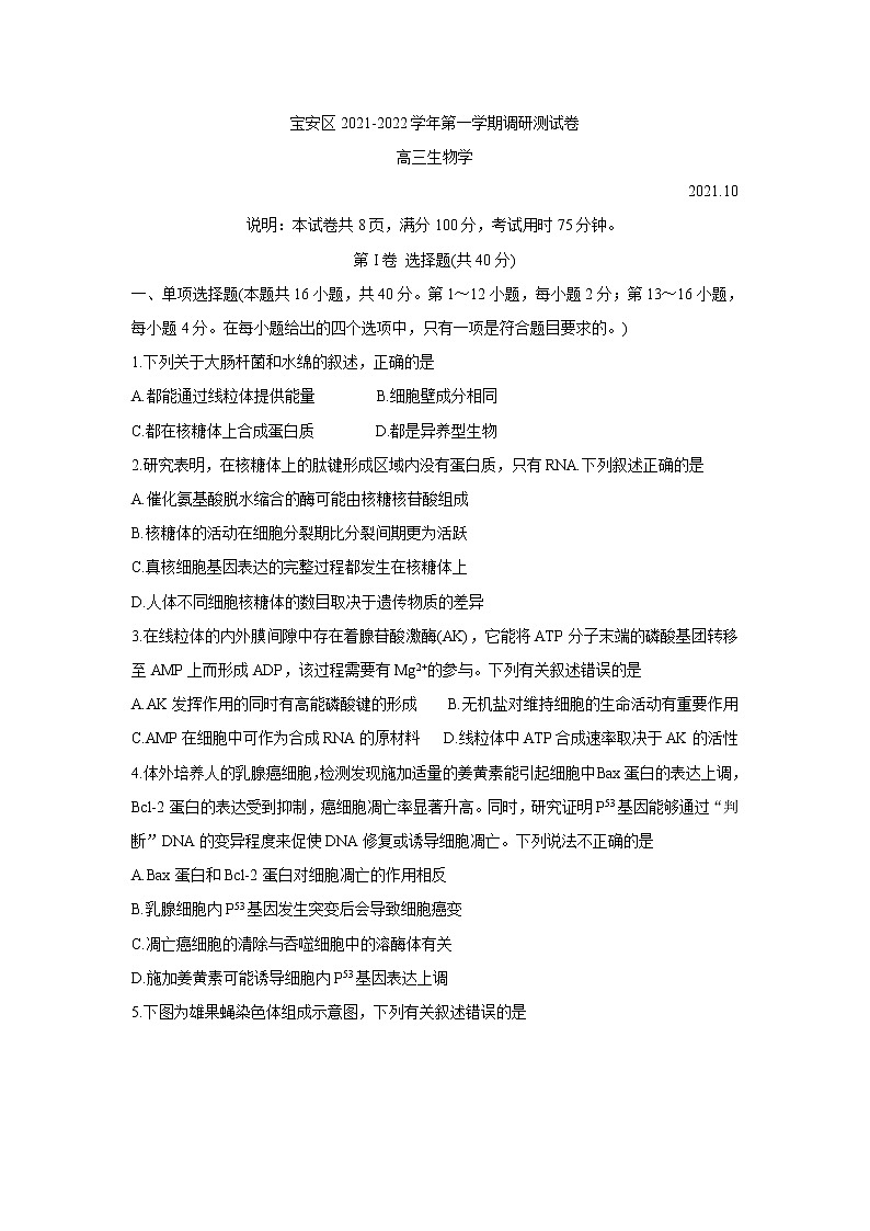 广东省深圳市宝安区2022届高三上学期10月调研测试 生物 含答案01