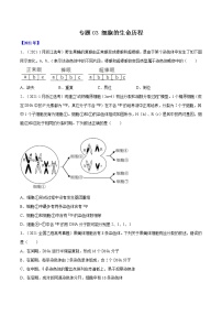 专题03 细胞的生命历程-十年（2012-2021）高考生物真题分项汇编（全国通用）（原卷版）