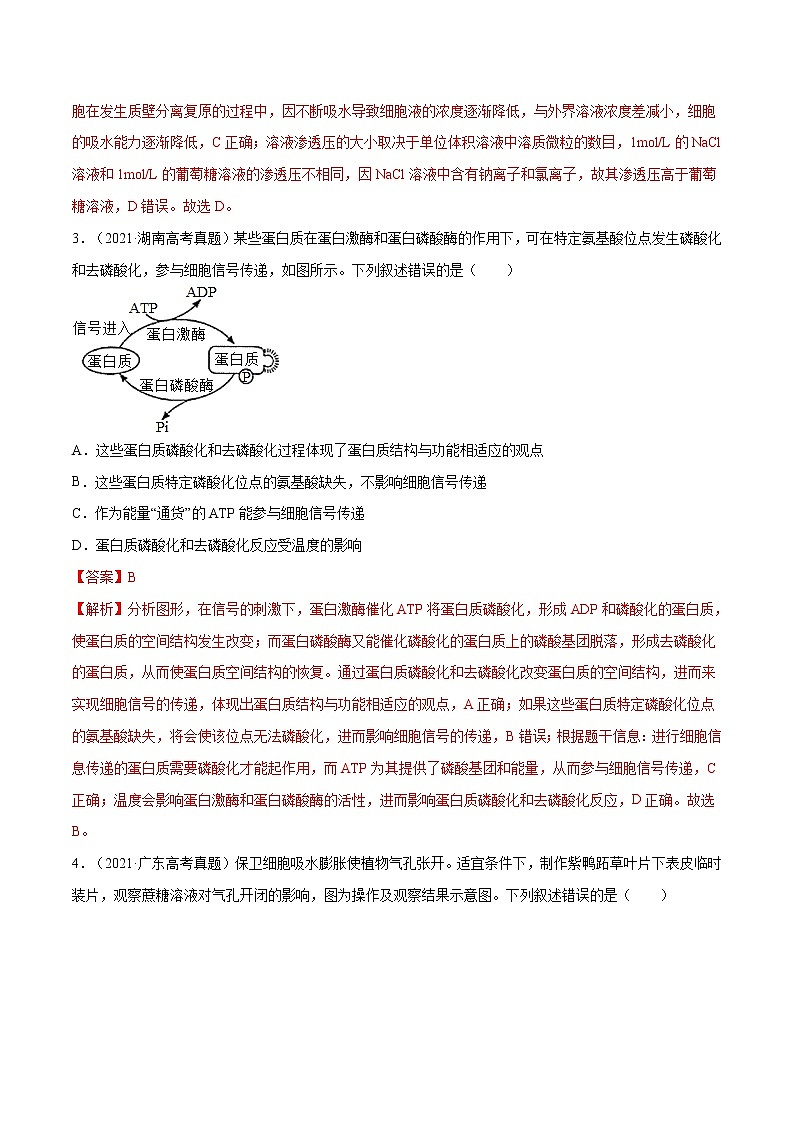 专题02 细胞的能量与代谢-十年(2012-2021)高考生物真题分项汇编(全国通用)(解析版)第2页