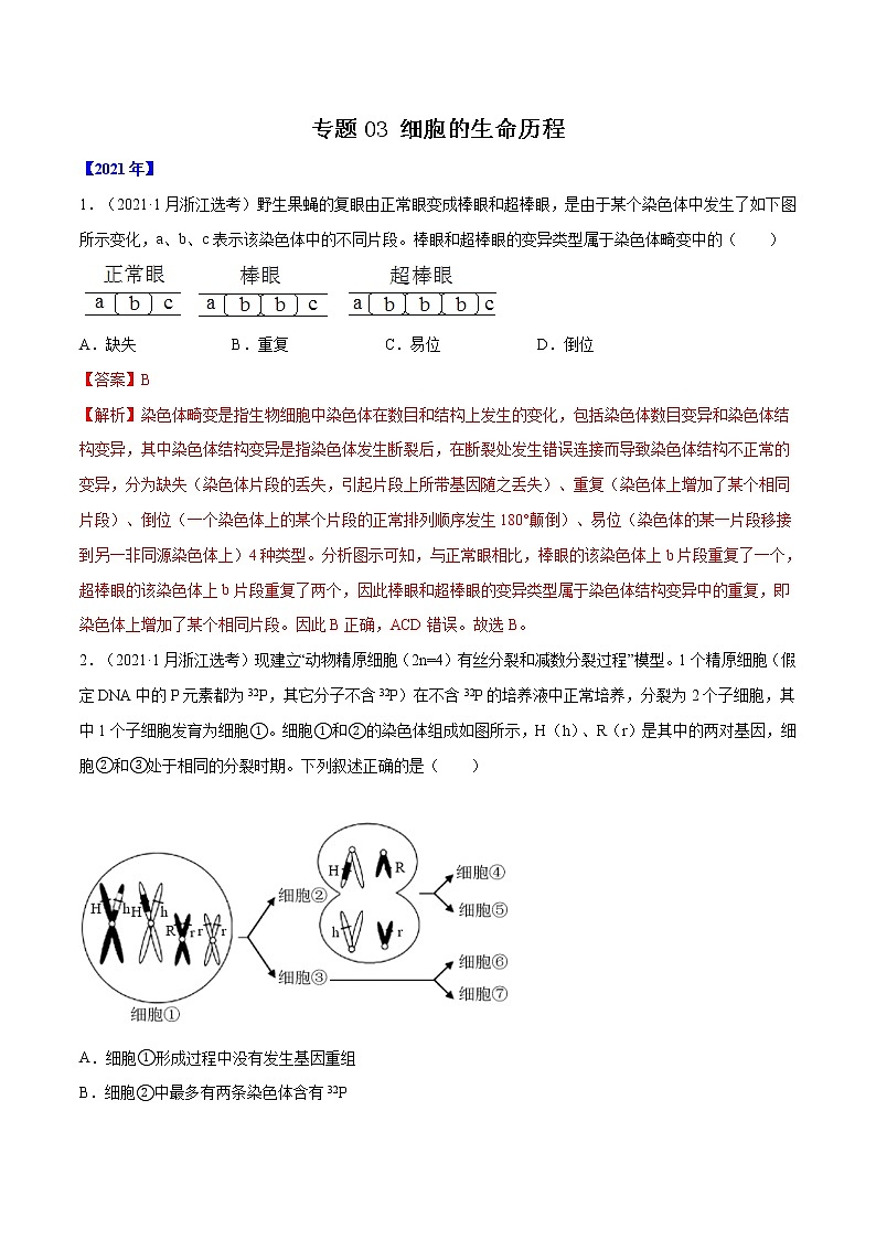专题03 细胞的生命历程-十年(2012-2021)高考生物真题分项汇编(全国通用)(解析版)第1页