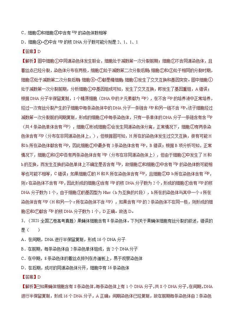 专题03 细胞的生命历程-十年(2012-2021)高考生物真题分项汇编(全国通用)(解析版)第2页