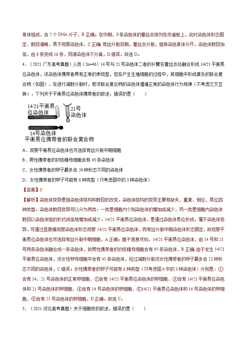 专题03 细胞的生命历程-十年(2012-2021)高考生物真题分项汇编(全国通用)(解析版)第3页