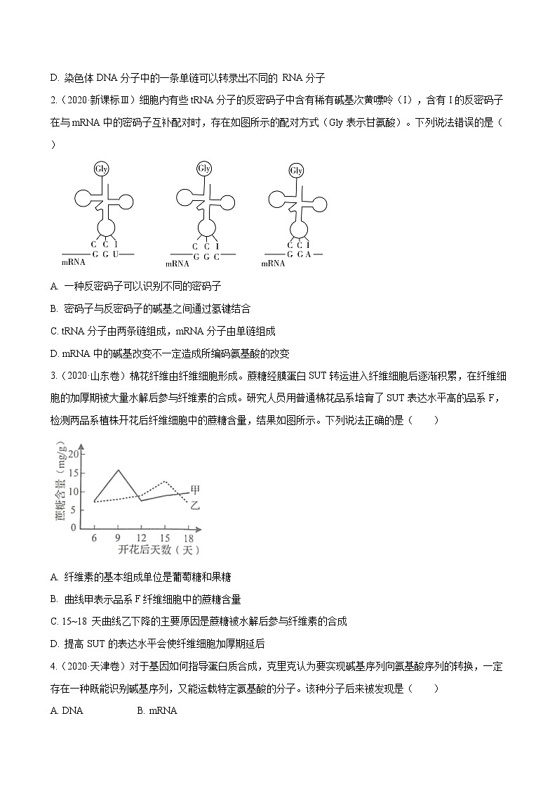 专题04 遗传的分子基础-十年(2012-2021)高考生物真题分项汇编(全国通用)(原卷版)第3页