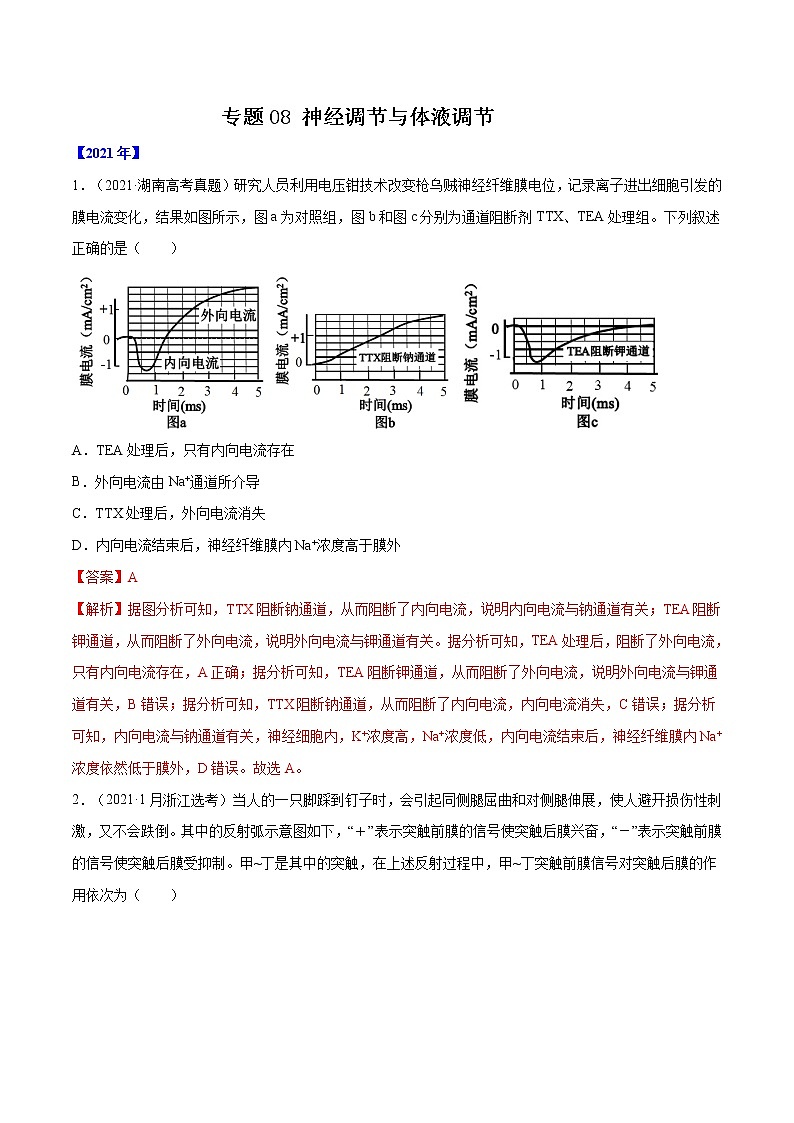 专题08 神经调节与体液调节-十年(2012-2021)高考生物真题分项汇编(全国通用)(解析版)第1页