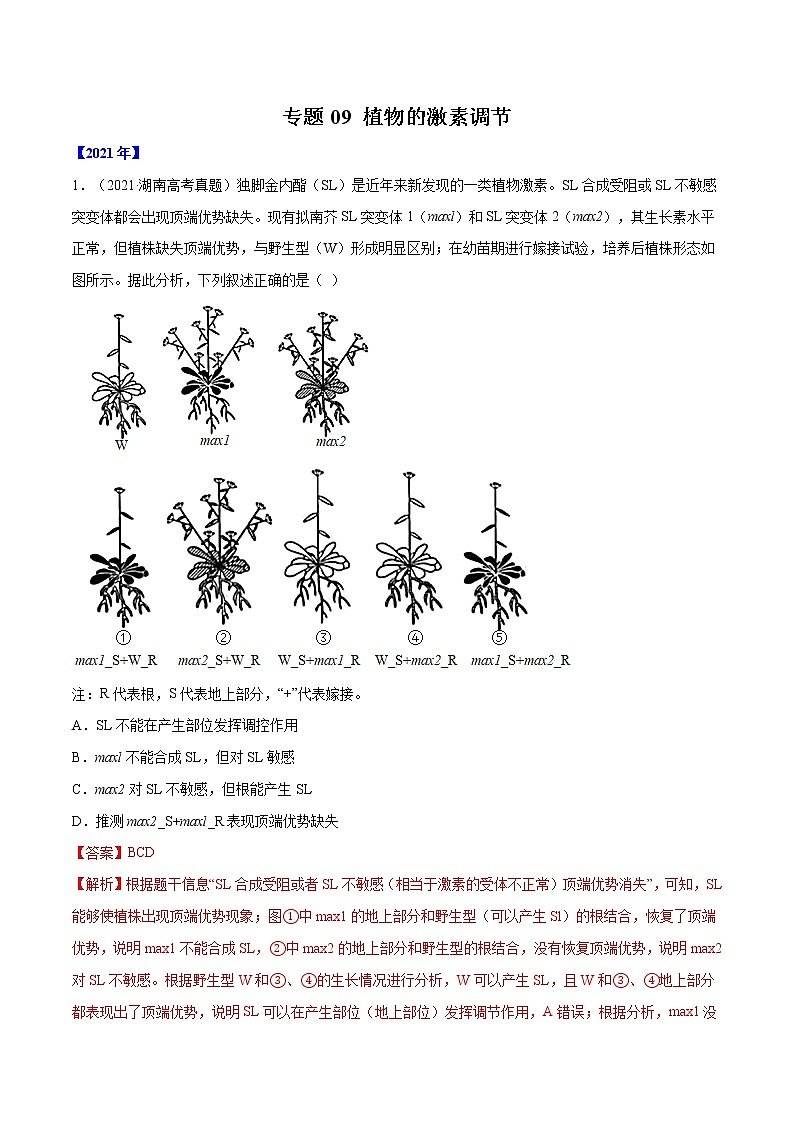 专题09 植物的激素调节-十年(2012-2021)高考生物真题分项汇编(全国通用)(解析版)第1页