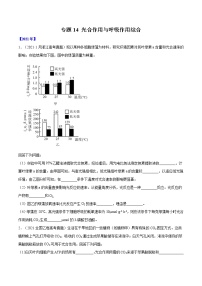 专题14 光合作用与呼吸作用综合-十年（2012-2021）高考生物真题分项汇编（全国通用）（原卷版）