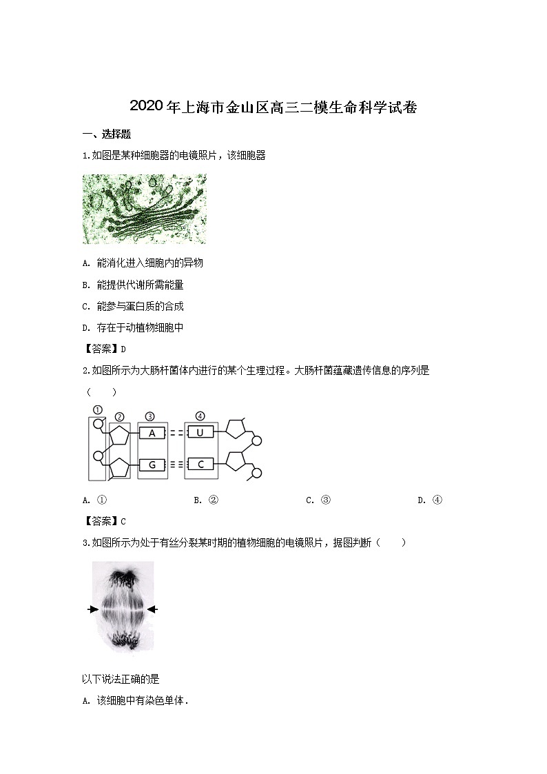 2020年上海市金山区高三二模生命科学试卷及答案01