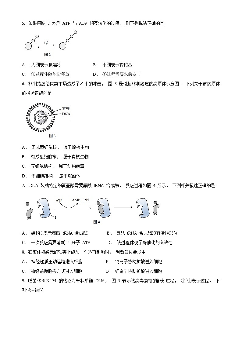 2021年上海市静安高三一模生物试卷及答案第2页