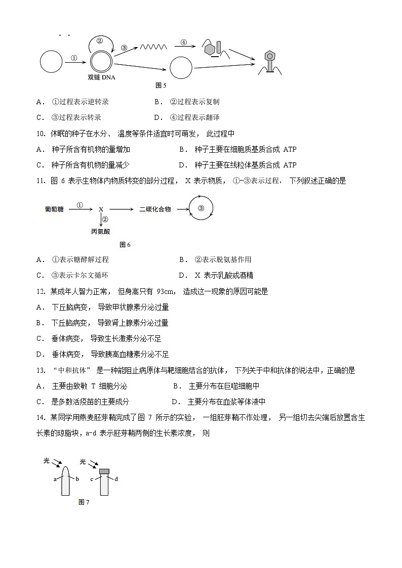 2021年上海市静安高三一模生物试卷及答案第3页