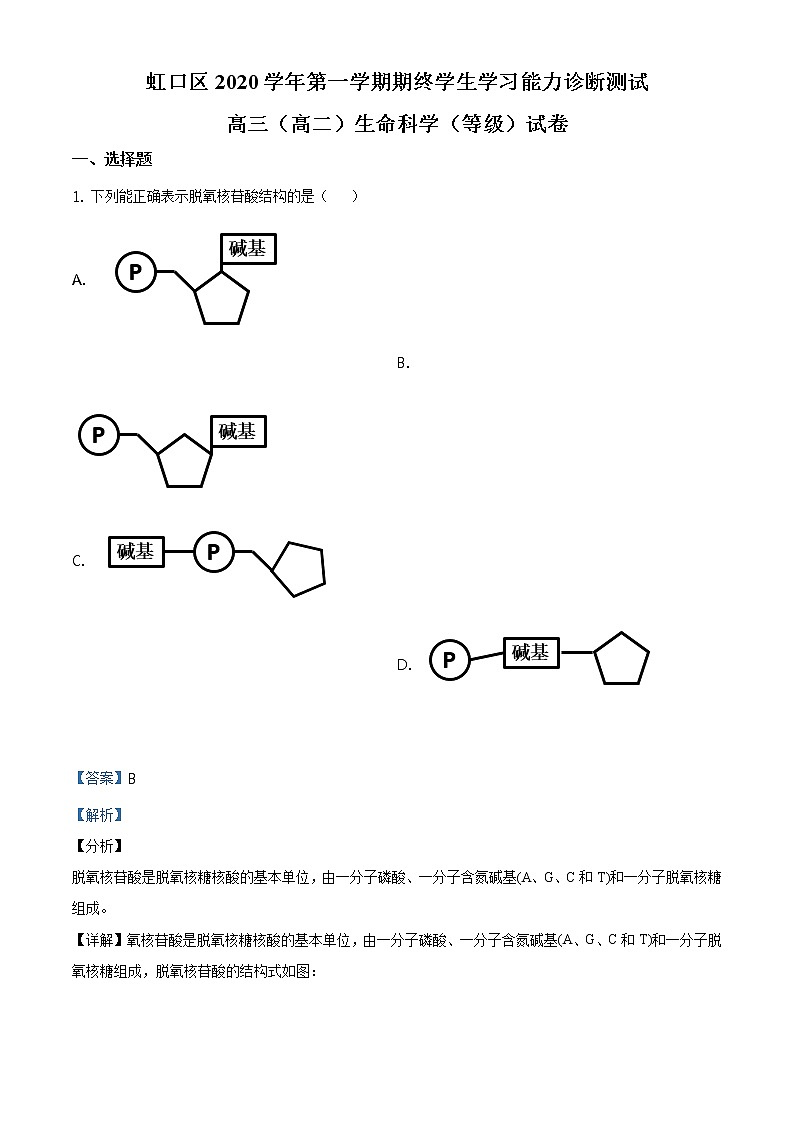 精品解析:2021届上海市虹口区 高三(高二)一模(等级)生物试题(2020.12)(解析版)第1页