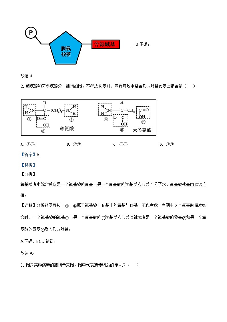 精品解析:2021届上海市虹口区 高三(高二)一模(等级)生物试题(2020.12)(解析版)第2页