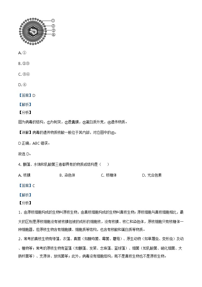 精品解析:2021届上海市虹口区 高三(高二)一模(等级)生物试题(2020.12)(解析版)第3页