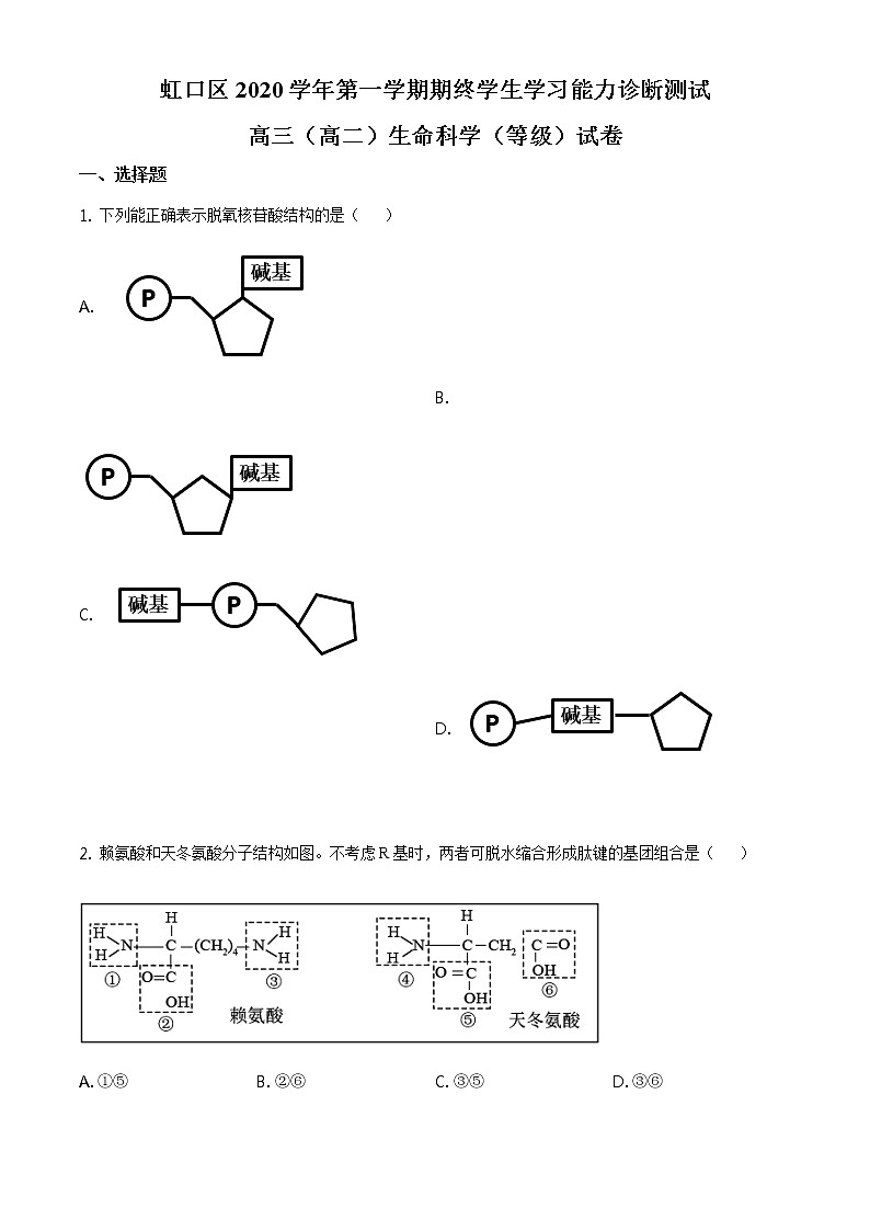 精品解析:2021届上海市虹口区 高三(高二)一模(等级)生物试题(2020.12)(原卷版)第1页