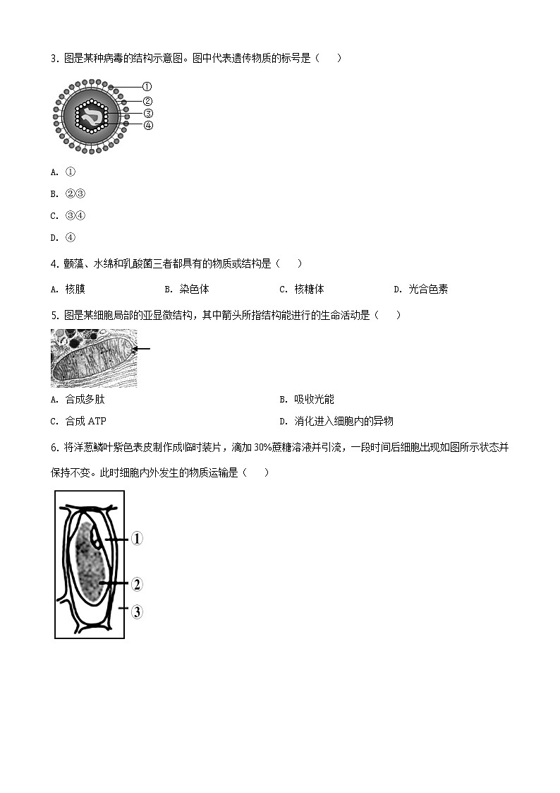 精品解析:2021届上海市虹口区 高三(高二)一模(等级)生物试题(2020.12)(原卷版)第2页