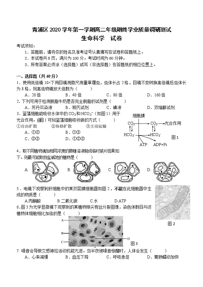 2021年上海市青浦高三一模生物试卷及答案第1页