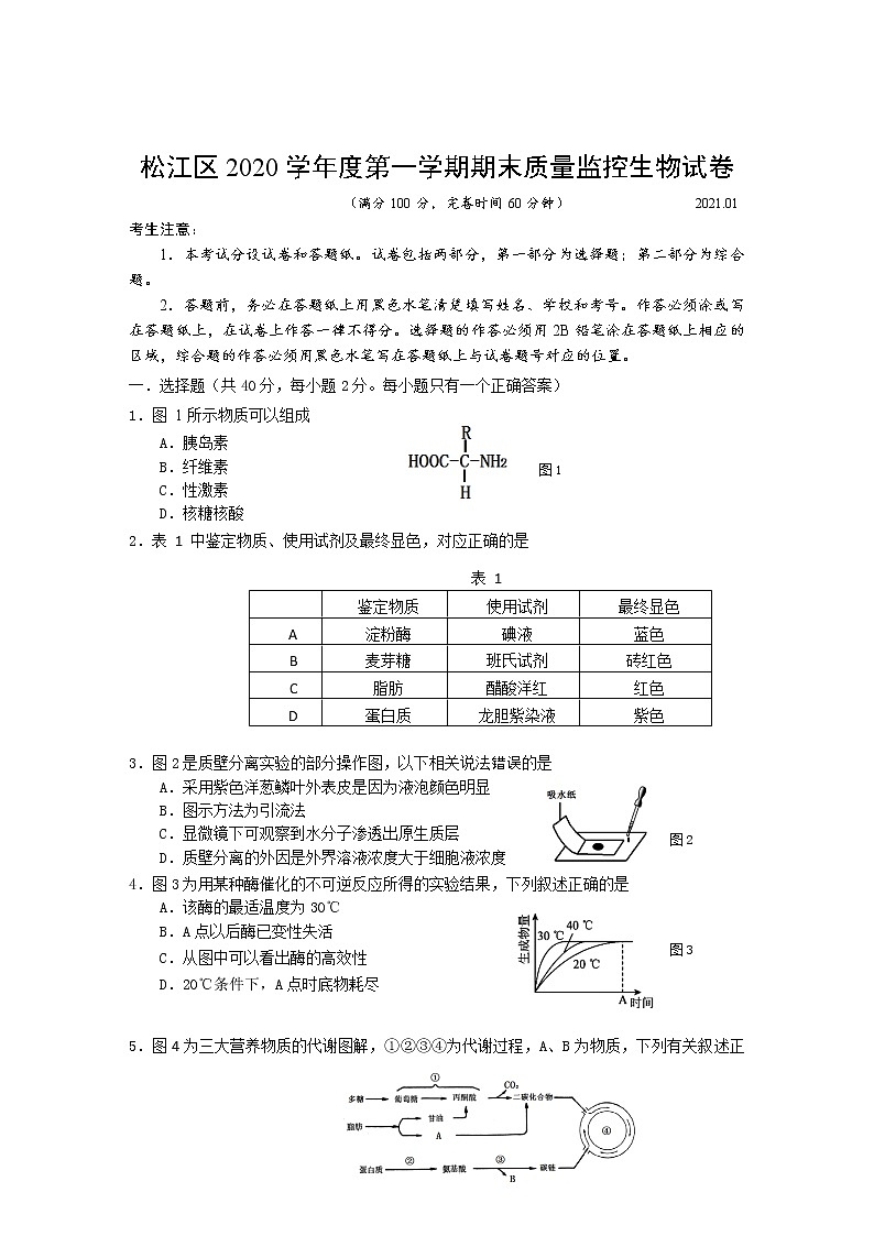2021年上海市松江高三一模生物试卷及答案第1页