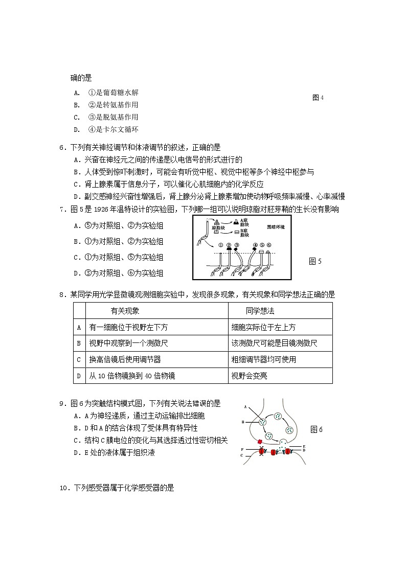 2021年上海市松江高三一模生物试卷及答案第2页