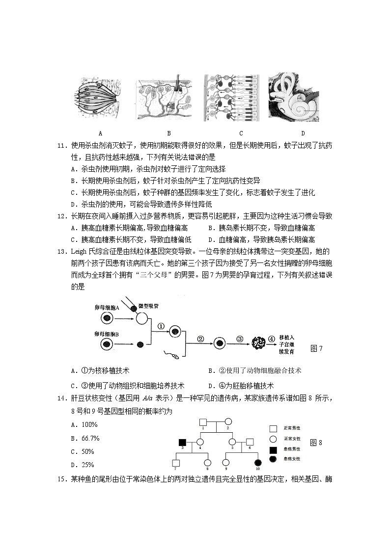 2021年上海市松江高三一模生物试卷及答案第3页