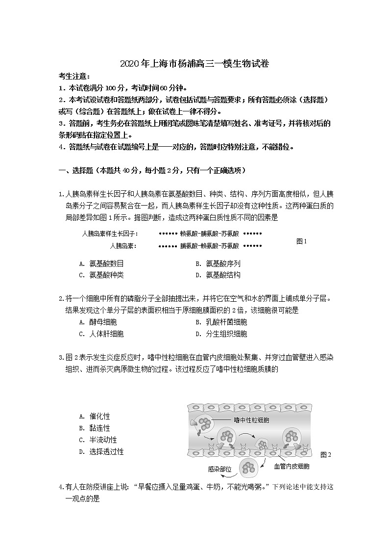 2020年上海市杨浦高三一模生物试卷及答案01