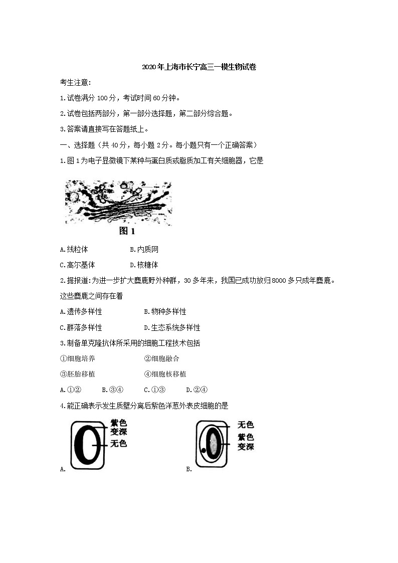 2020年上海市长宁高三一模生物试卷及答案01