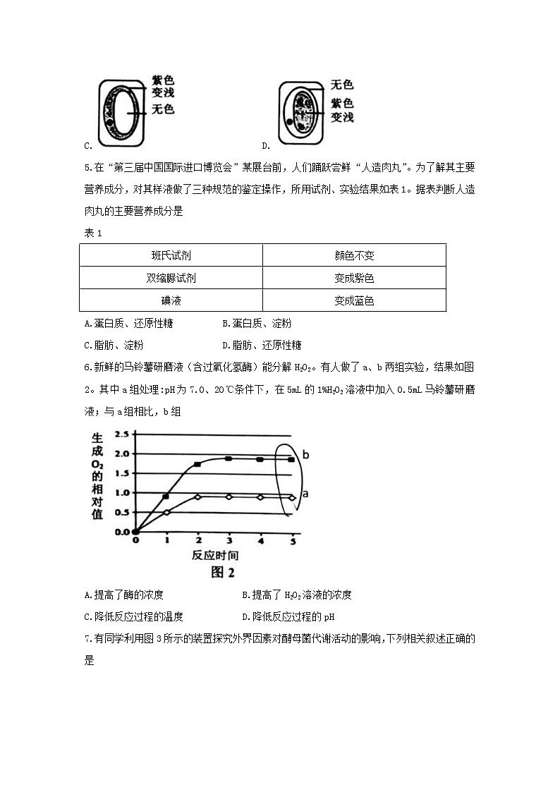 2020年上海市长宁高三一模生物试卷及答案02