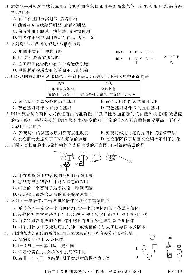 黑龙江省齐齐哈尔市普通高中联谊校2018-2019学年高二上学期期末考试生物试题第3页