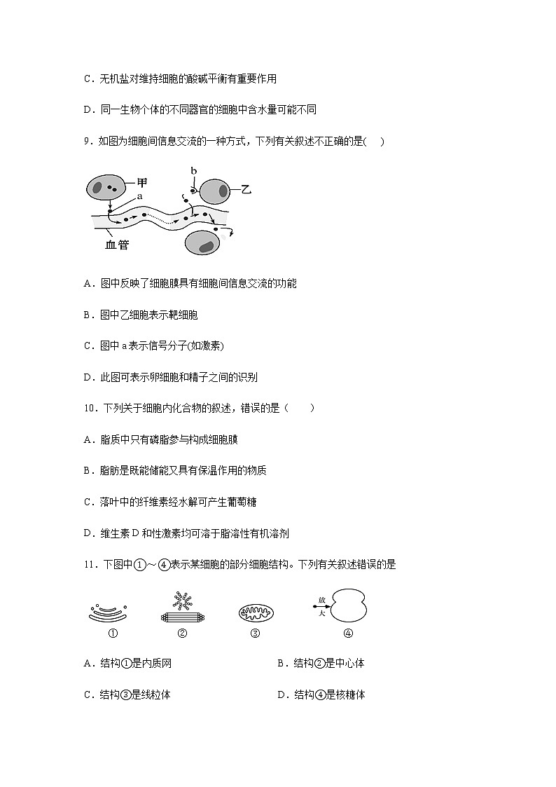 辽宁省沈阳市辽中区新时代高中2021-2022学年高一生物上学期期中考试生物【试卷+答案】第3页