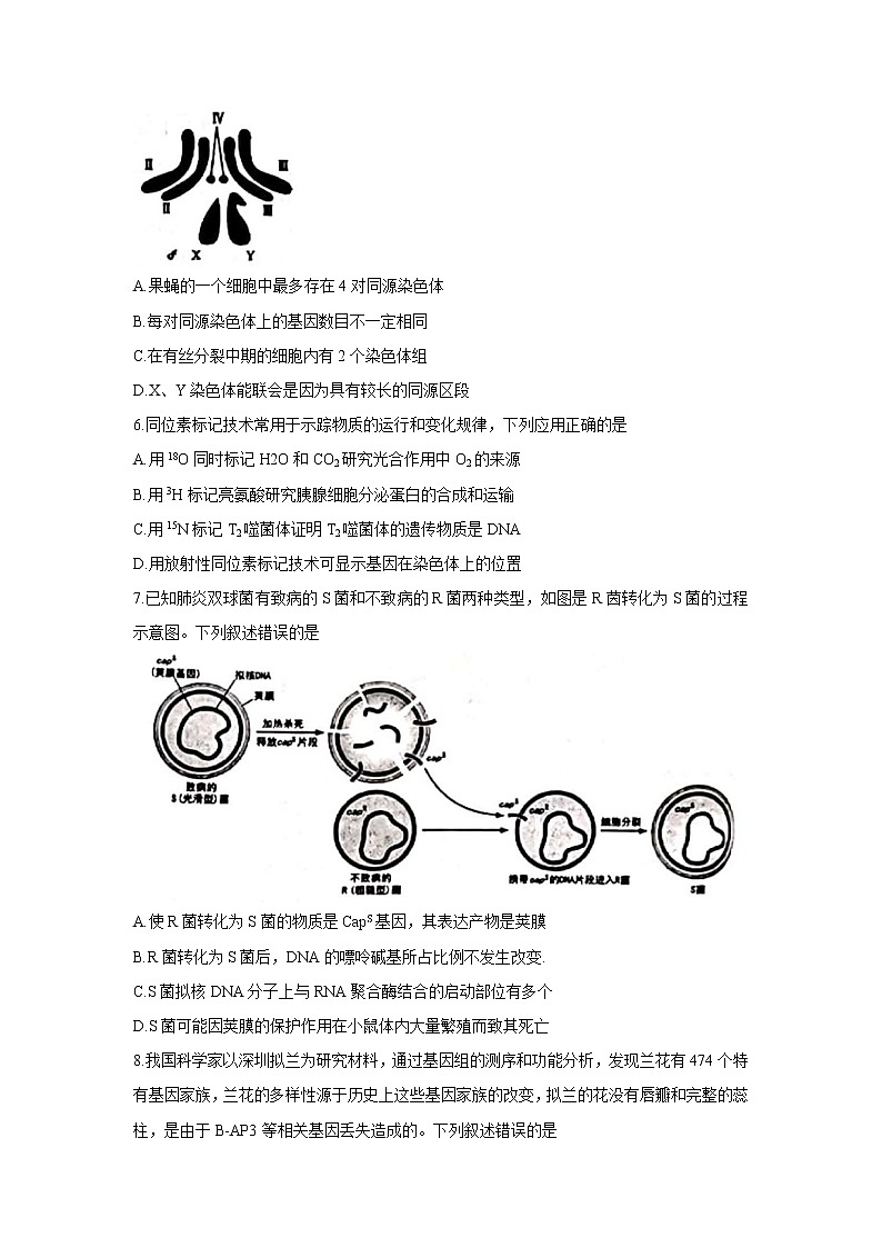 广东省深圳市宝安区2022届高三上学期10月调研测试 生物 含答案bychun第2页