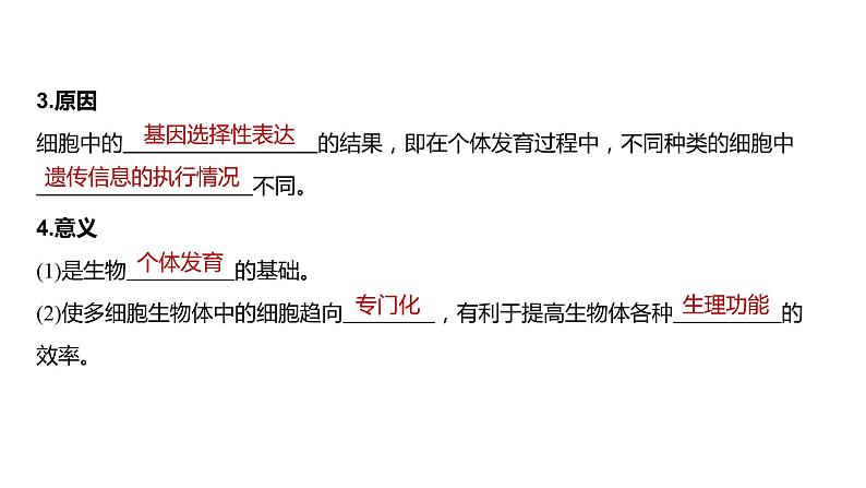 2020年高中生物新教材同步必修第一册 第6章 第2节 细胞的分化课件PPT第6页