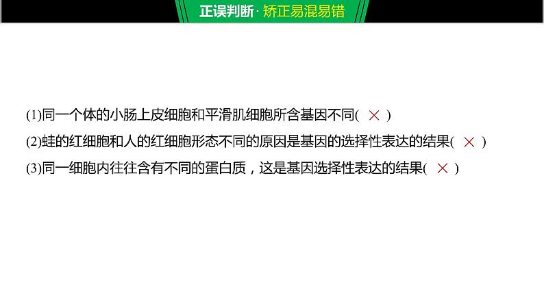 2020年高中生物新教材同步必修第一册 第6章 第2节 细胞的分化课件PPT第7页