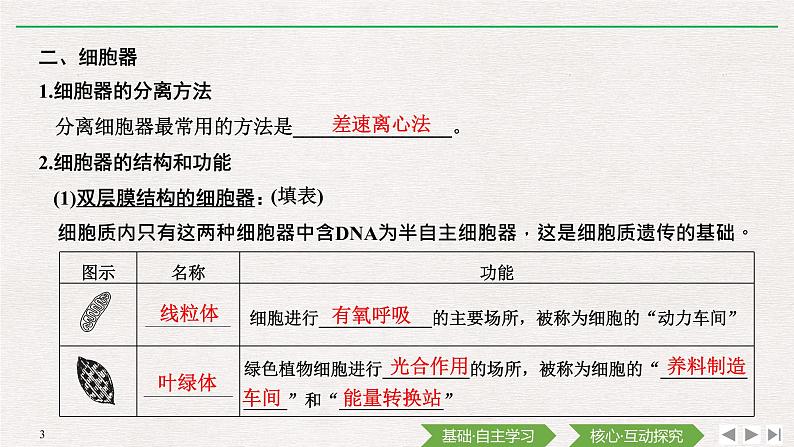 第2节 细胞器之间的分工合作第1课时 细胞器之间的分工课件PPT03