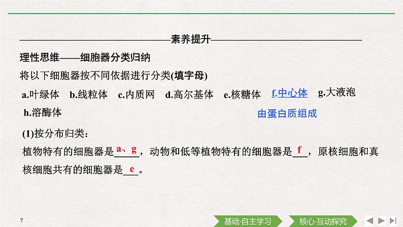 第2节 细胞器之间的分工合作第1课时 细胞器之间的分工课件PPT07