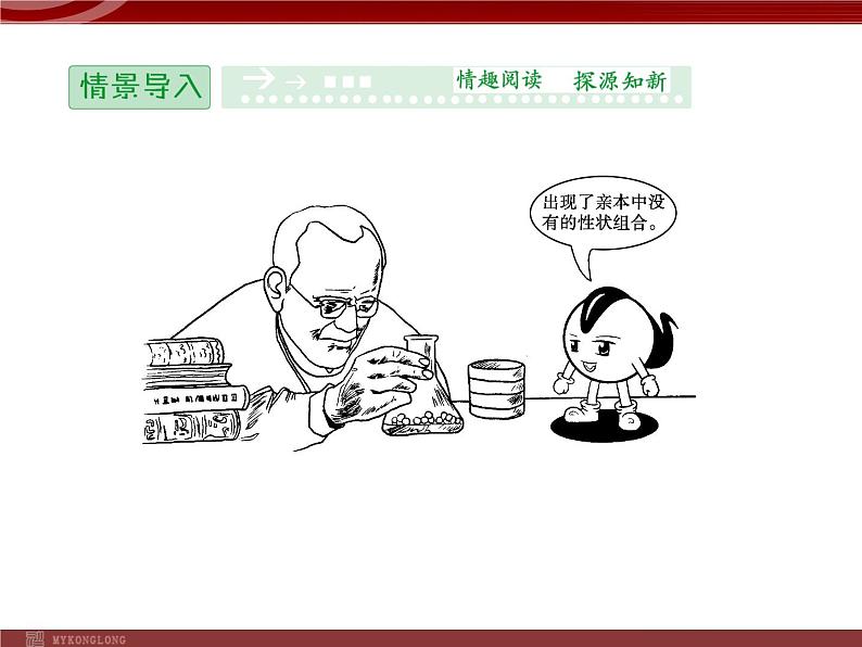 高效课堂同步课件:1-2孟德尔的豌豆杂交实验(二)(必修2) (2)02
