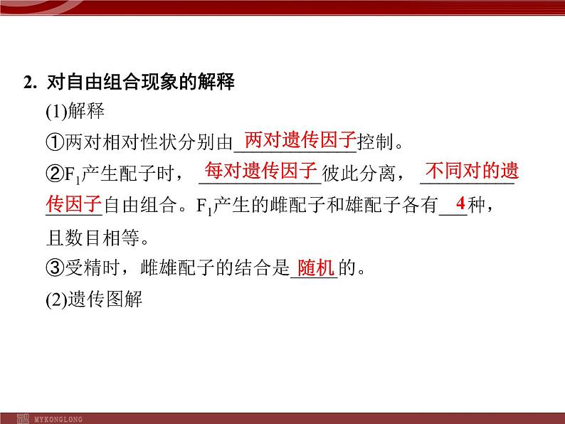 高效课堂同步课件:1-2孟德尔的豌豆杂交实验(二)(必修2) (2)06