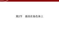 生物必修2《遗传与进化》第二章 基因和染色体的关系第2节 基因在染色体上教学演示ppt课件