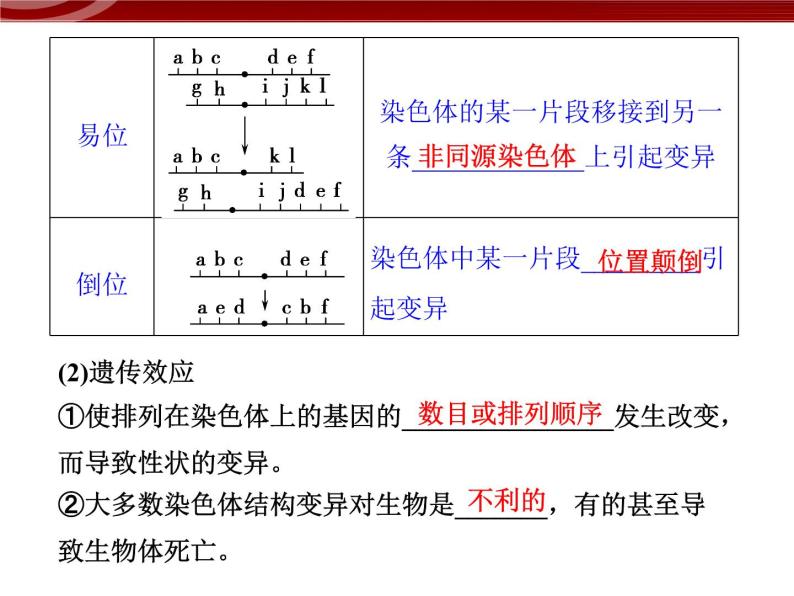 高效课堂同步课件：5-2-1染色体变异（必修2）05