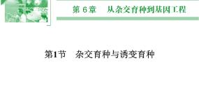 人教版 (新课标)必修2《遗传与进化》第1节 杂交育种与诱变育种课文配套课件ppt
