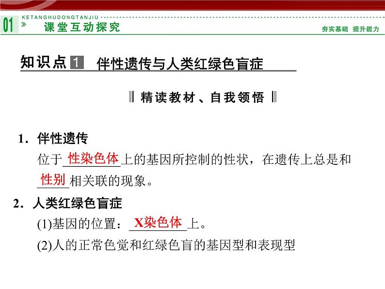 高效课堂同步课件:2-3伴性遗传(必修2)03