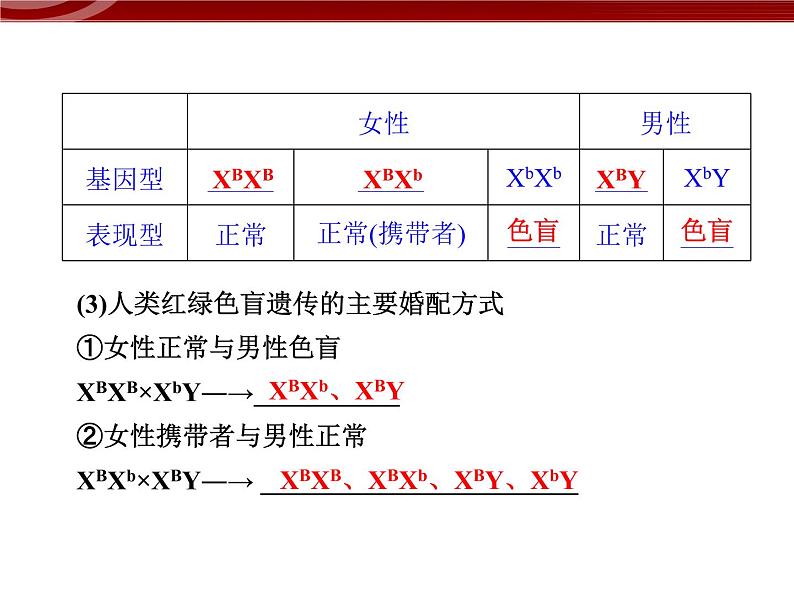 高效课堂同步课件:2-3伴性遗传(必修2)04