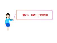 人教版 (新课标)必修2《遗传与进化》第2节 DNA分子的结构课文内容课件ppt
