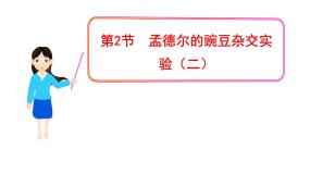 人教版 (新课标)必修2《遗传与进化》第一章 遗传因子的发现第2节 孟德尔的豌豆杂交实验（二）备课ppt课件