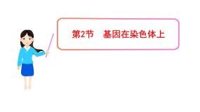 高中生物人教版 (新课标)必修2《遗传与进化》第2节 基因在染色体上课文ppt课件