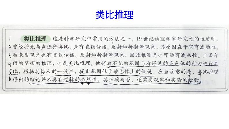 高中生物必修二 2.2 基因在染色体上课件PPT第5页