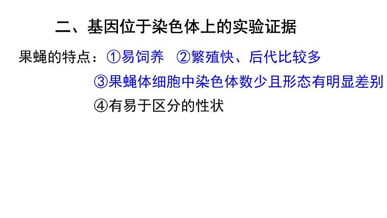 高中生物必修二 2.2 基因在染色体上课件PPT第8页
