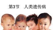 高中人教版 (新课标)第五章 基因突变及其他变异第3节 人类遗传病课文内容ppt课件
