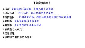 高中生物人教版 (新课标)必修2《遗传与进化》第1节 基因指导蛋白质的合成课前预习ppt课件