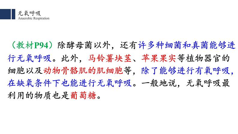 5.3.2 细胞呼吸的原理和应用 课件PPT第2页