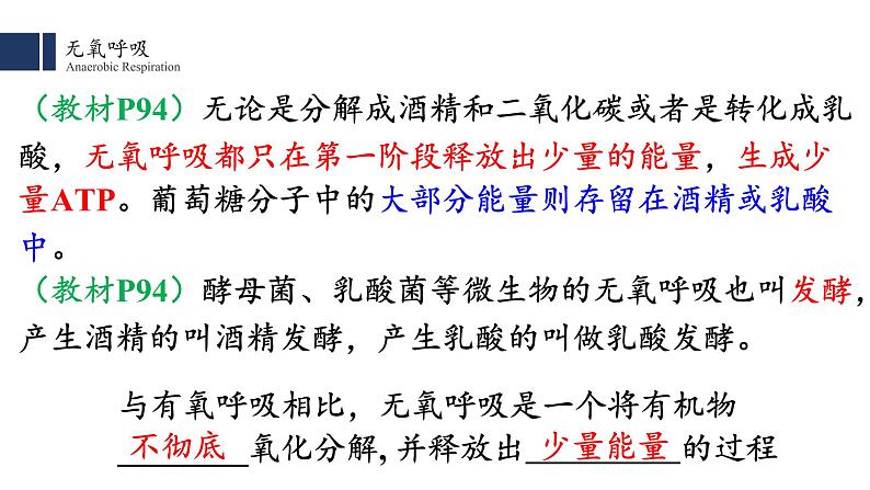 5.3.2 细胞呼吸的原理和应用 课件PPT第5页