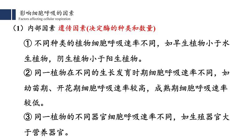 5.3.2 细胞呼吸的原理和应用 课件PPT第6页