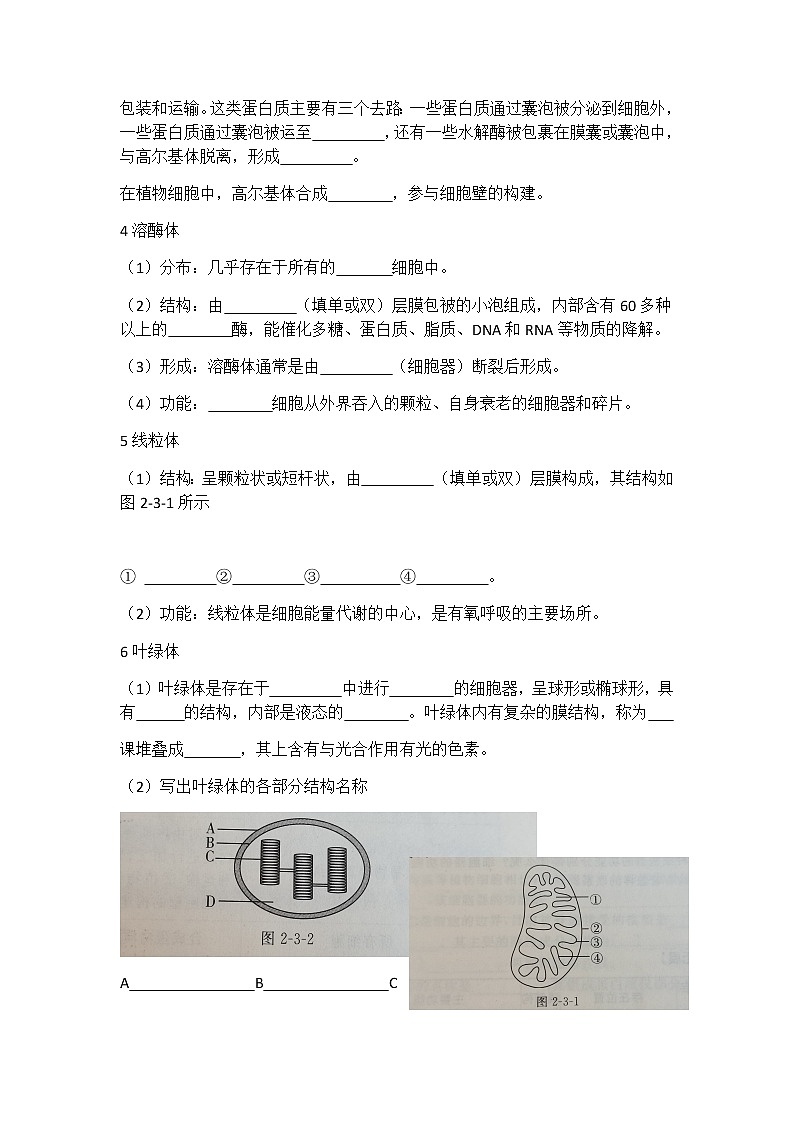 浙科版(2019)高中地理必修一2.3 细胞质是多项生命活动的场所 学案02
